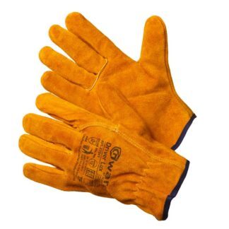 Gward Driver Lux XY041