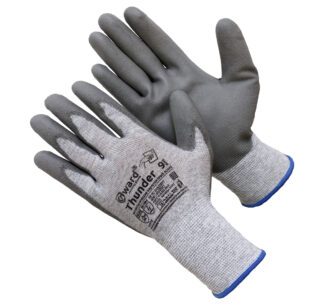 Gward Thunder ASP2